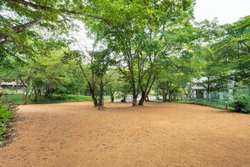 Pet-friendly amenities