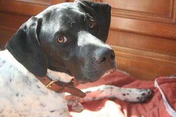 Photo 28