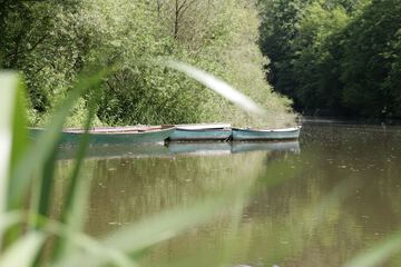 Rowing