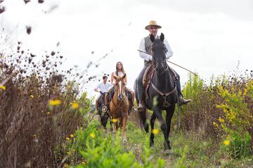 Horseback riding