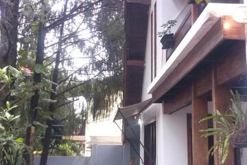 Photo 39
