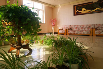 Hotel Interior or Public Areas