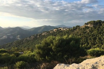 Hiking