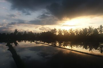 Land view from property