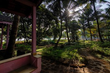 View from room