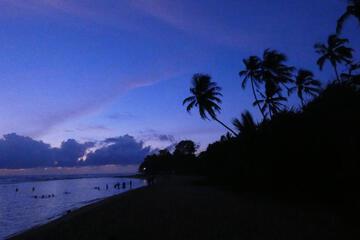 Photo 40