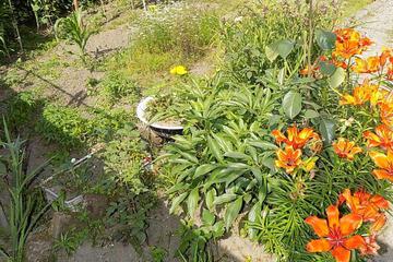 Photo 62