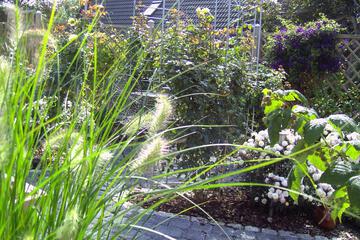 Photo 57