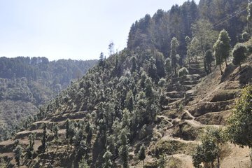 Mountain view