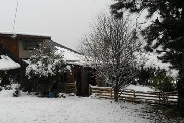 Photo 45
