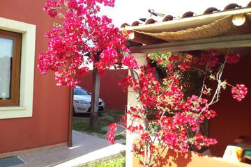 Photo 28