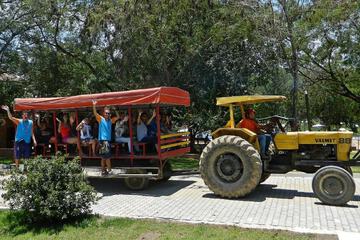 Game drive