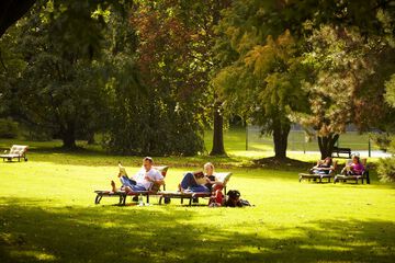Park view