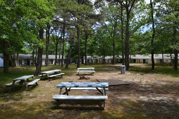 BBQ/picnic area