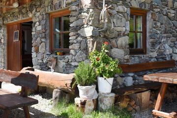Photo 41