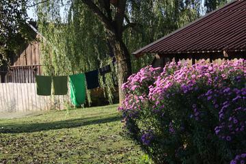 Photo 37