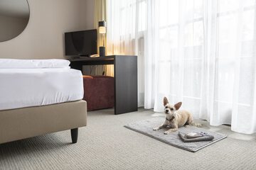 Pet-friendly amenities