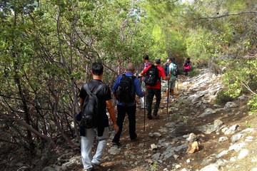 Hiking
