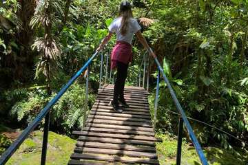 Ecotours