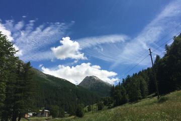 Photo 48