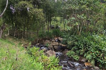 Natural pool