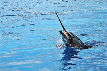 Fishing