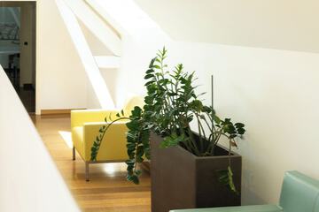 Handrails in hallways