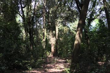Photo 33
