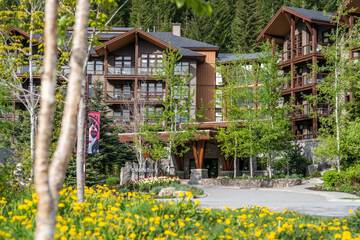 Evolution Whistler