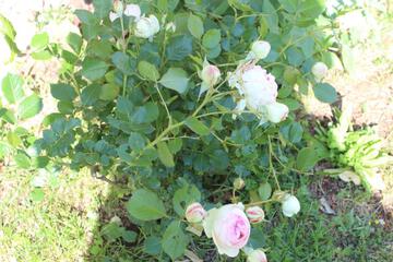 Photo 24