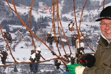 Vineyard