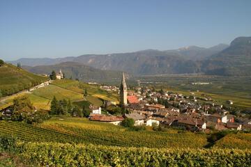 Photo 40