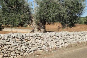 Photo 63