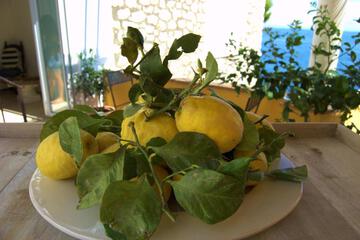Photo 24