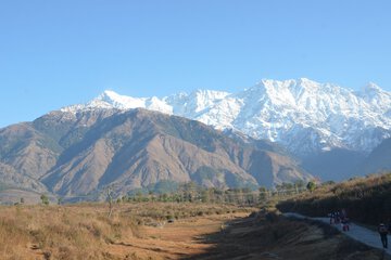 Mountain view