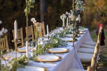 Outdoor wedding area