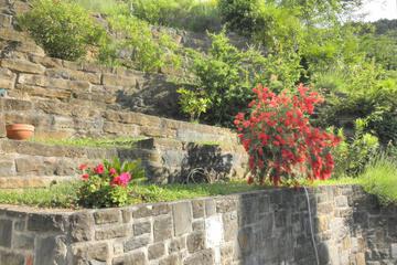 Photo 34