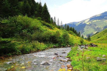 Hiking
