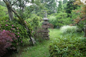 Japanese garden