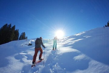 Snowshoeing