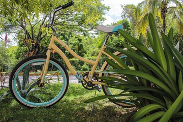 Bicycling