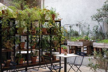 Courtyard