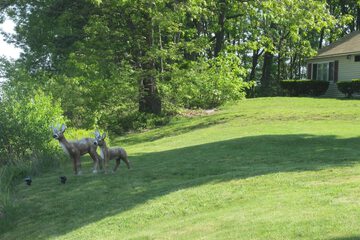 Property Grounds 32 of 39