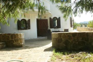 Photo 68