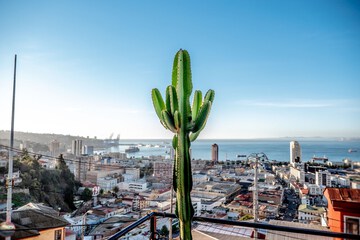 City view