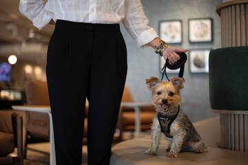 Pet Friendly 64 of 66