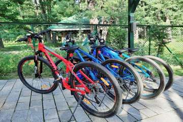 Bicycling