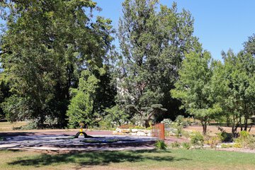 Mini-golf