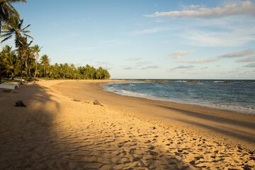 Beach/ocean view