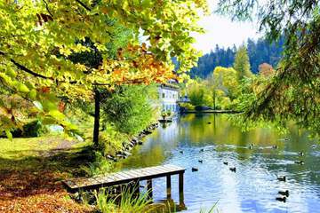 Lake view